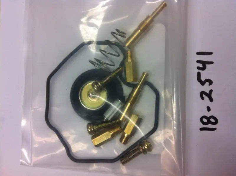 18-2541 K&L Carburetor Repair Kit wps-118-2541