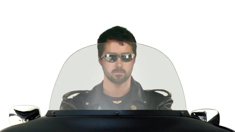 20051 Replacement Screen 12.75" Smoke wps-562-20230s