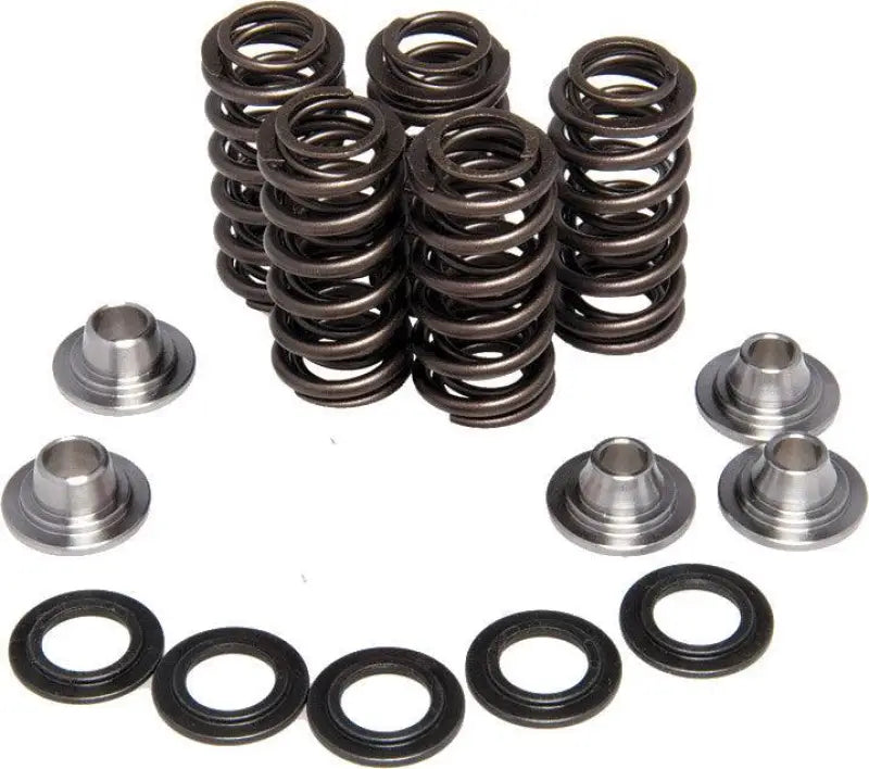 30-31600 Kpmi Racing Valve Spring Kit wps-191-21015
