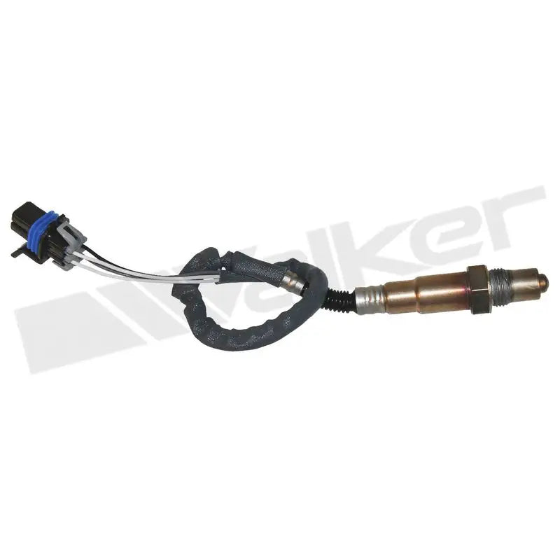 350-34003 Walker Oxygen Sensor w8035034003