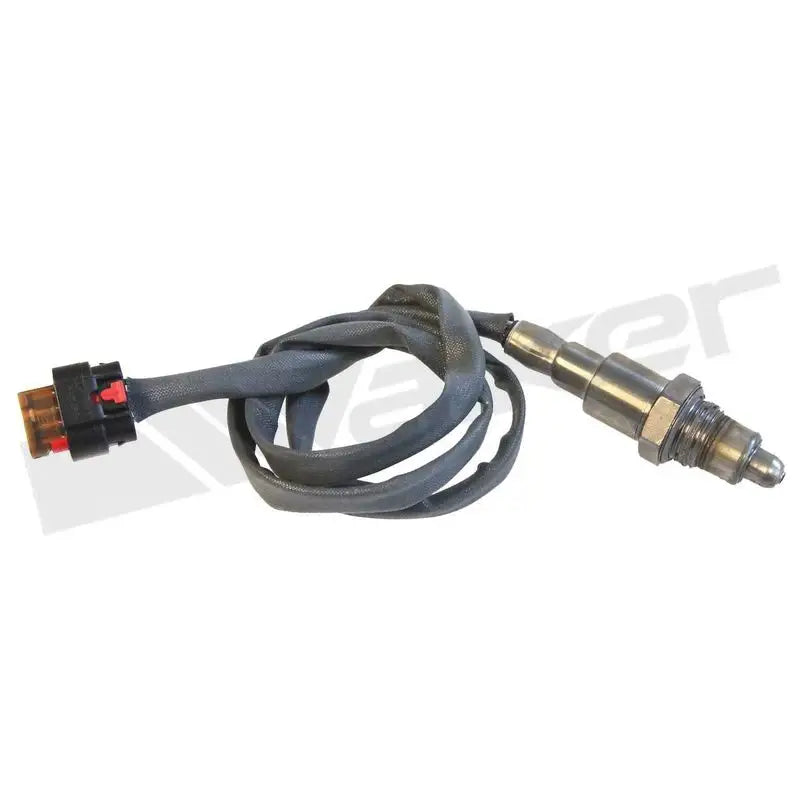350-341024 Walker Oxygen Sensor w80350341024