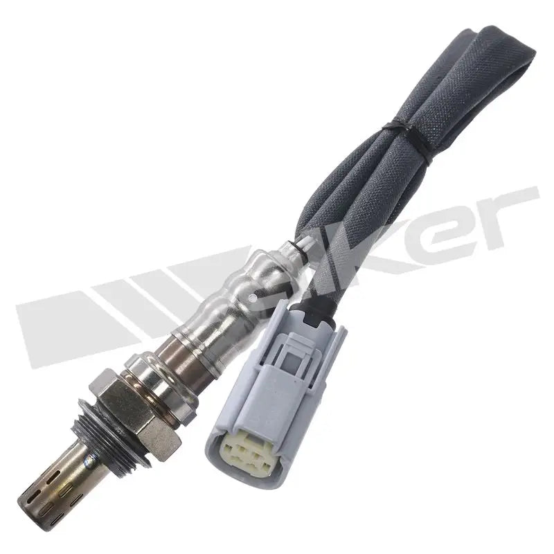 350-34254 Walker Oxygen Sensor w8035034254