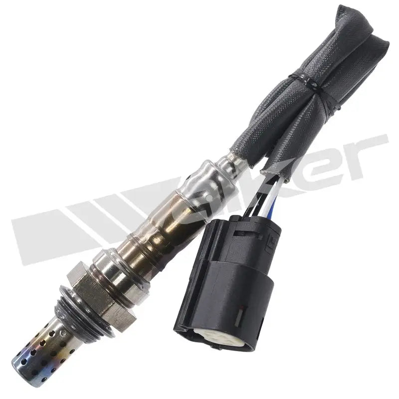 350-34361 Walker Oxygen Sensor w8035034361