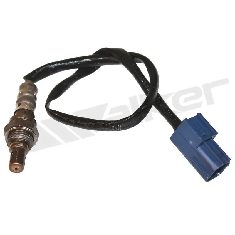 350-34384 Walker Oxygen Sensor w8035034384