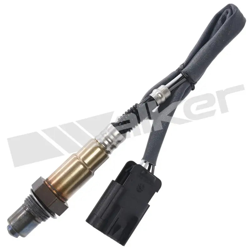 350-34387 Walker Oxygen Sensor w8035034387
