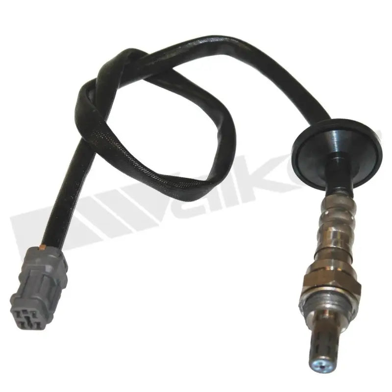 350-34390 Walker Oxygen Sensor w8035034390