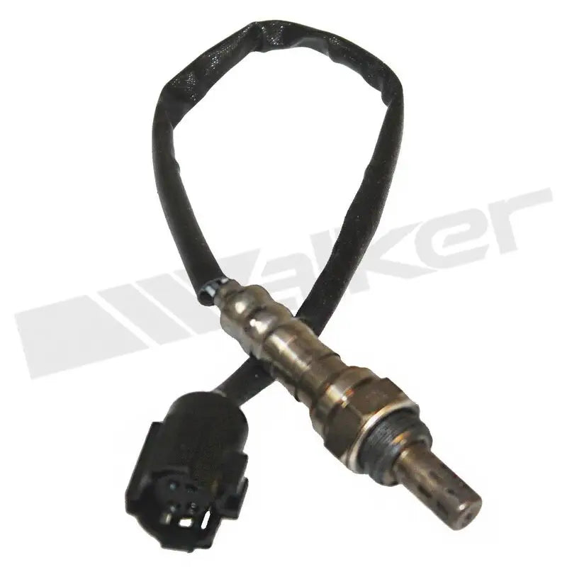 350-34439 Walker Oxygen Sensor w8035034439
