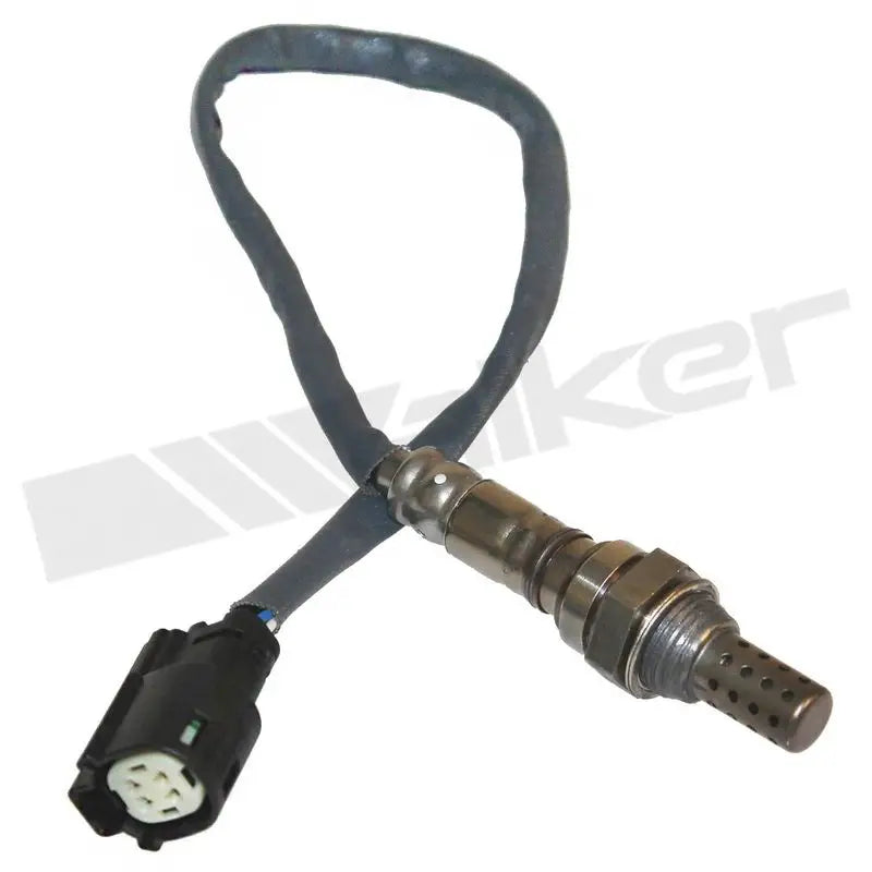350-34446 Walker Oxygen Sensor w8035034446