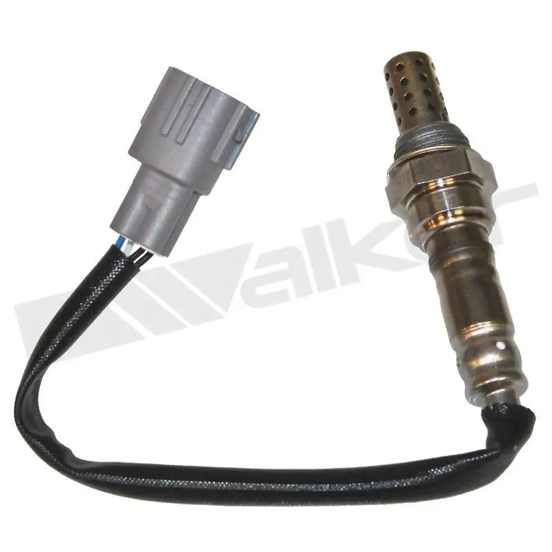 350-34479 Walker Oxygen Sensor w8035034479