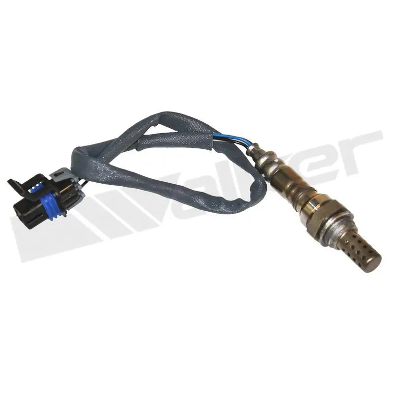 350-34483 Walker Oxygen Sensor w8035034483