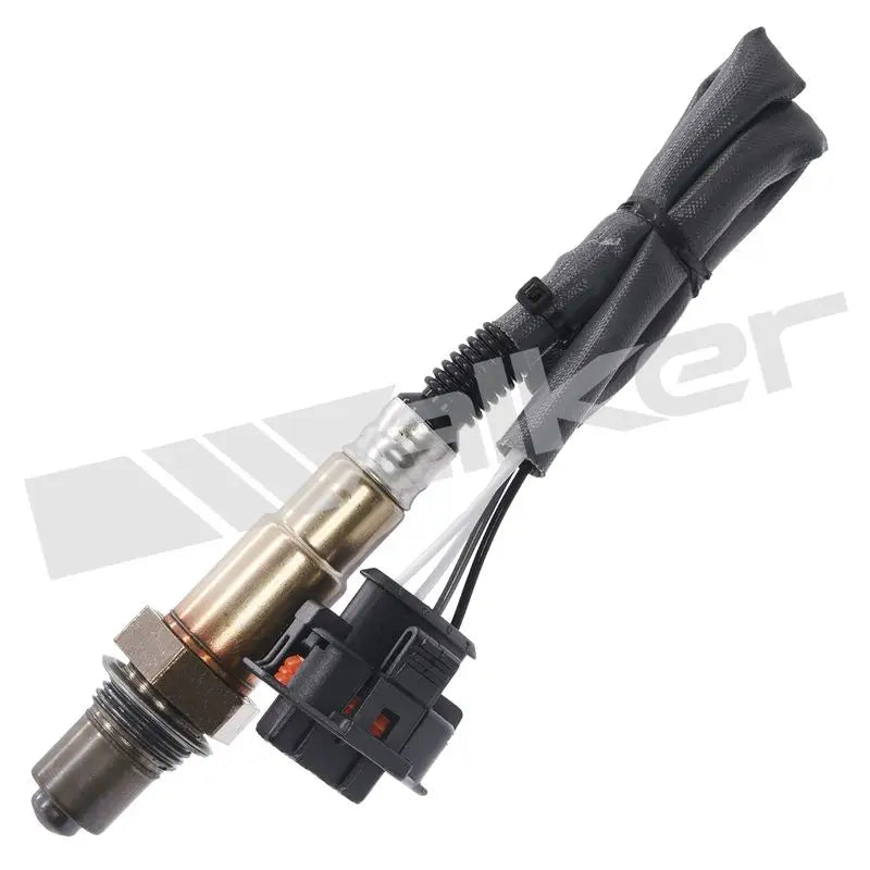 350-34491 Walker Oxygen Sensor w8035034491