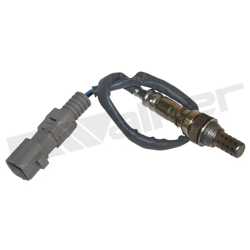 350-34501 Walker Oxygen Sensor w8035034501