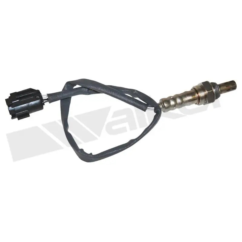 350-34511 Walker Oxygen Sensor w8035034511