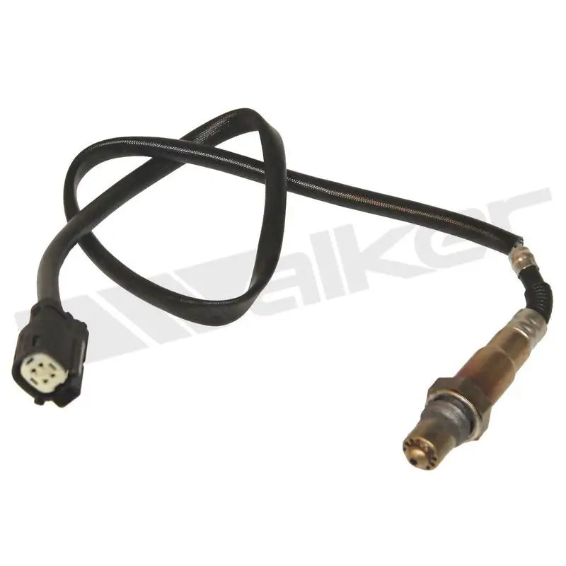 350-34529 Walker Oxygen Sensor w8035034529
