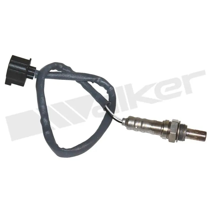350-34592 Walker Oxygen Sensor w8035034592