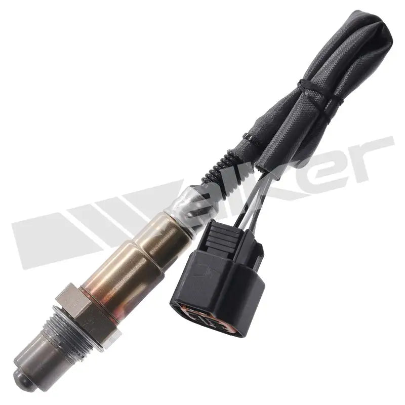 350-34617 Walker Oxygen Sensor w8035034617