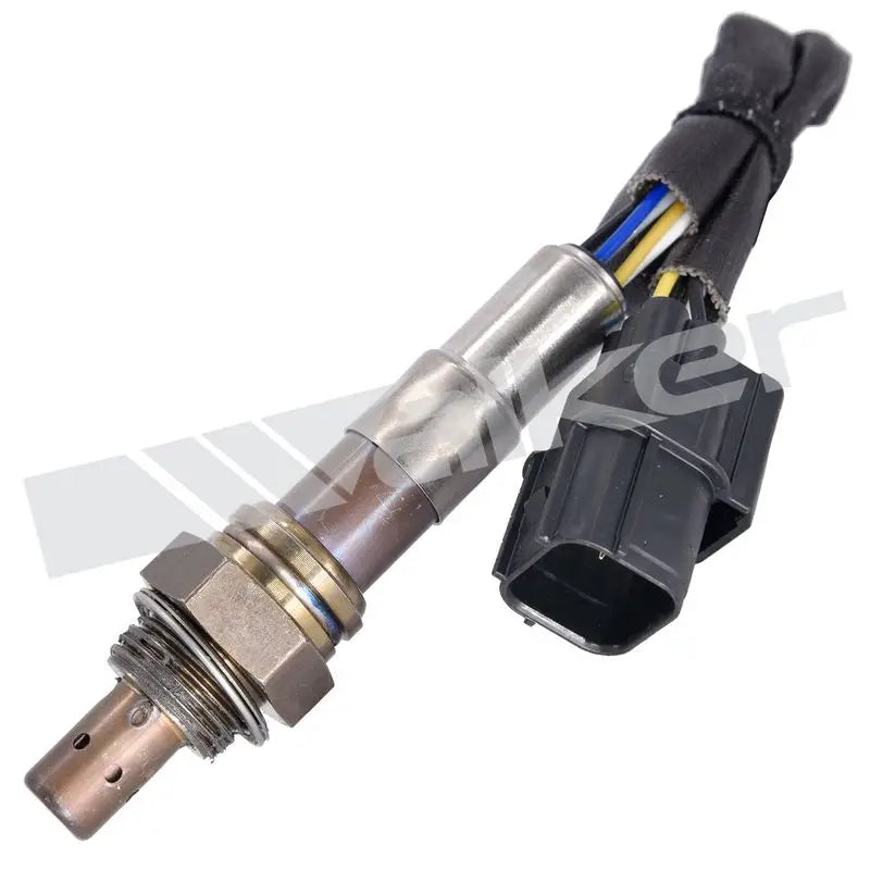 350-35003 Walker Oxygen Sensor w8035035003