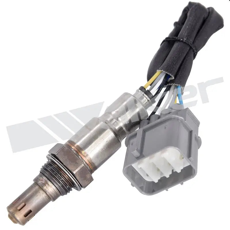 350-35023 Walker Oxygen Sensor w8035035023