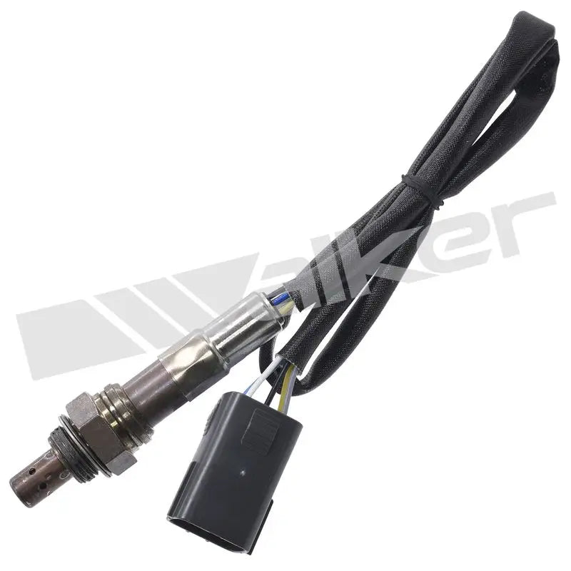 350-35048 Walker Oxygen Sensor w8035035048