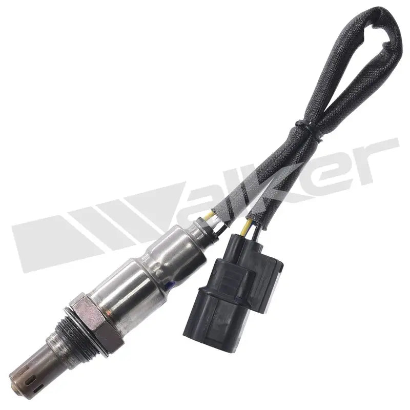 350-35065 Walker Oxygen Sensor w8035035065