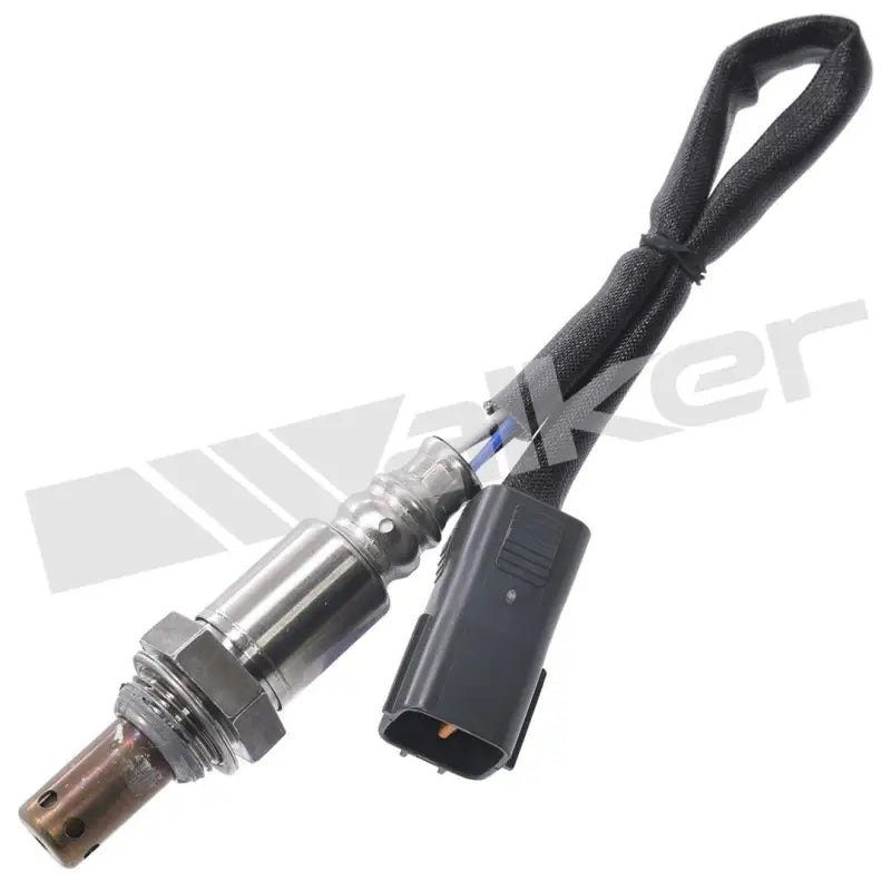 350-64020 Walker Oxygen Sensor w8035064020