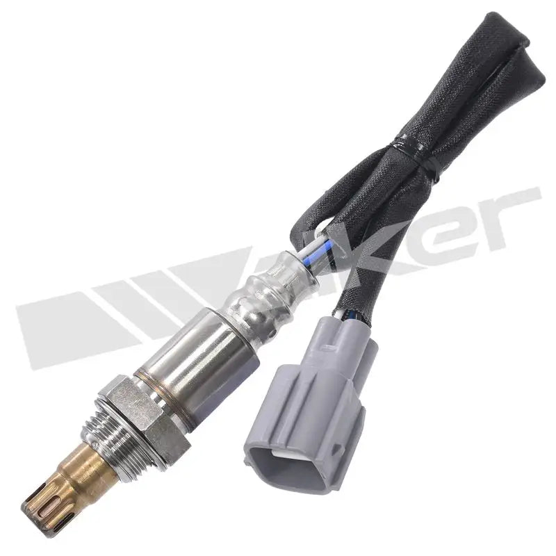 350-64031 Walker Oxygen Sensor w8035064031