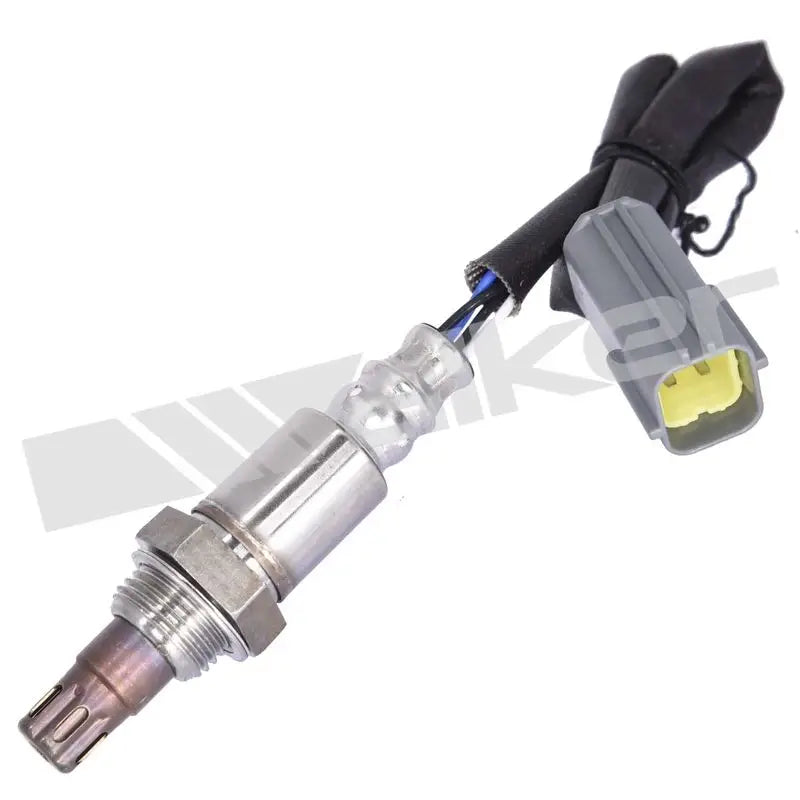 350-64043 Walker Oxygen Sensor w8035064043