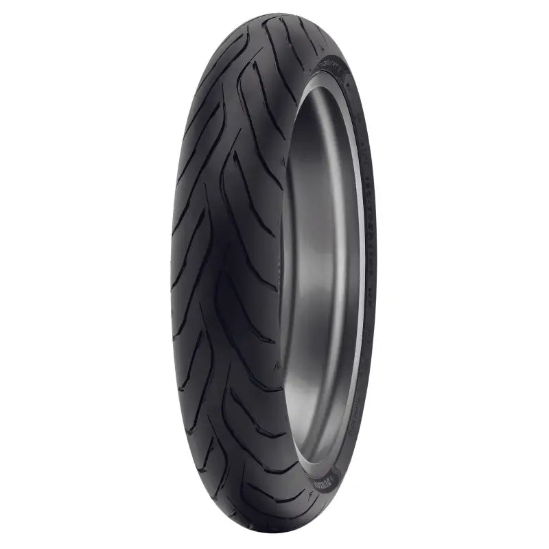 45253308 Dunlop Tire Roadmsart Iv Front 120/70Zr19 (60W) Tl wps-873-0407