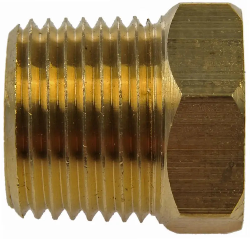 785-424 Dorman (OE Solutions) Fitting Plug/ Fitting Cap Brass d18785424