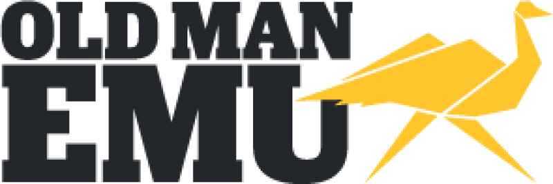 ARB 4 Runner 5Th 10-18 Gen Medium Kit OME4RNR10MKS