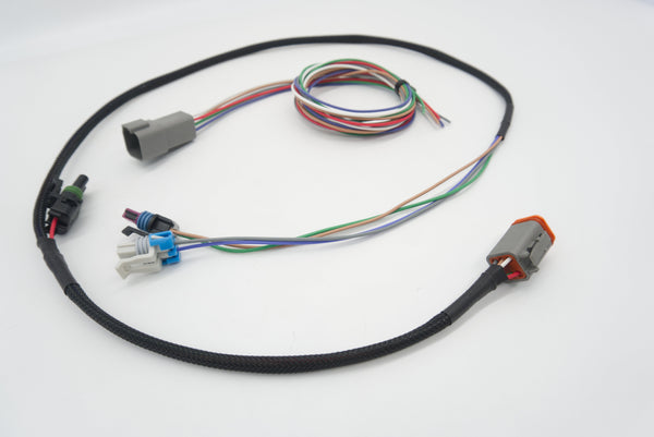 Autosports Engineering T56 Magnum Transmission Wire Harness