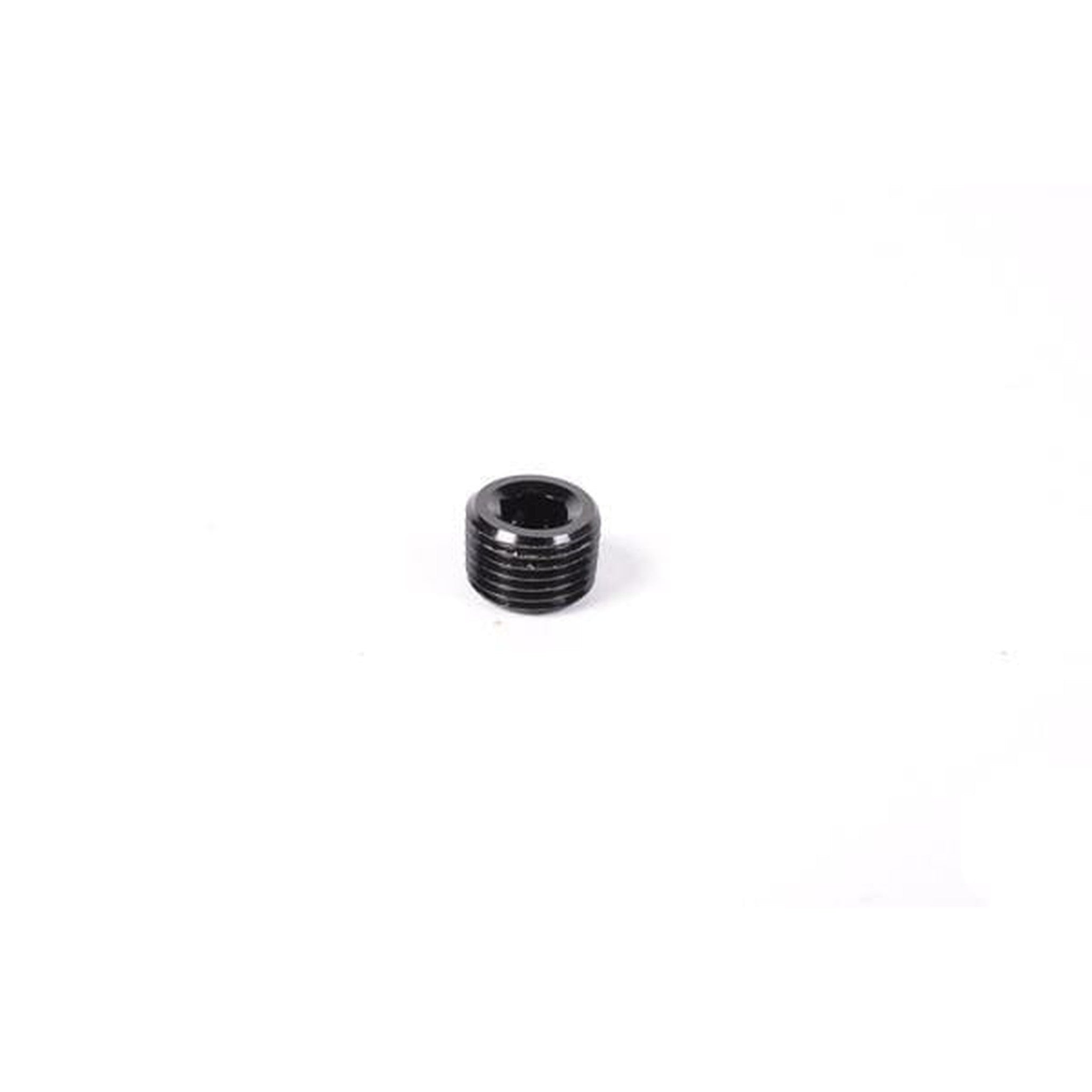 Radium Engineering 1/8 NPT Plug