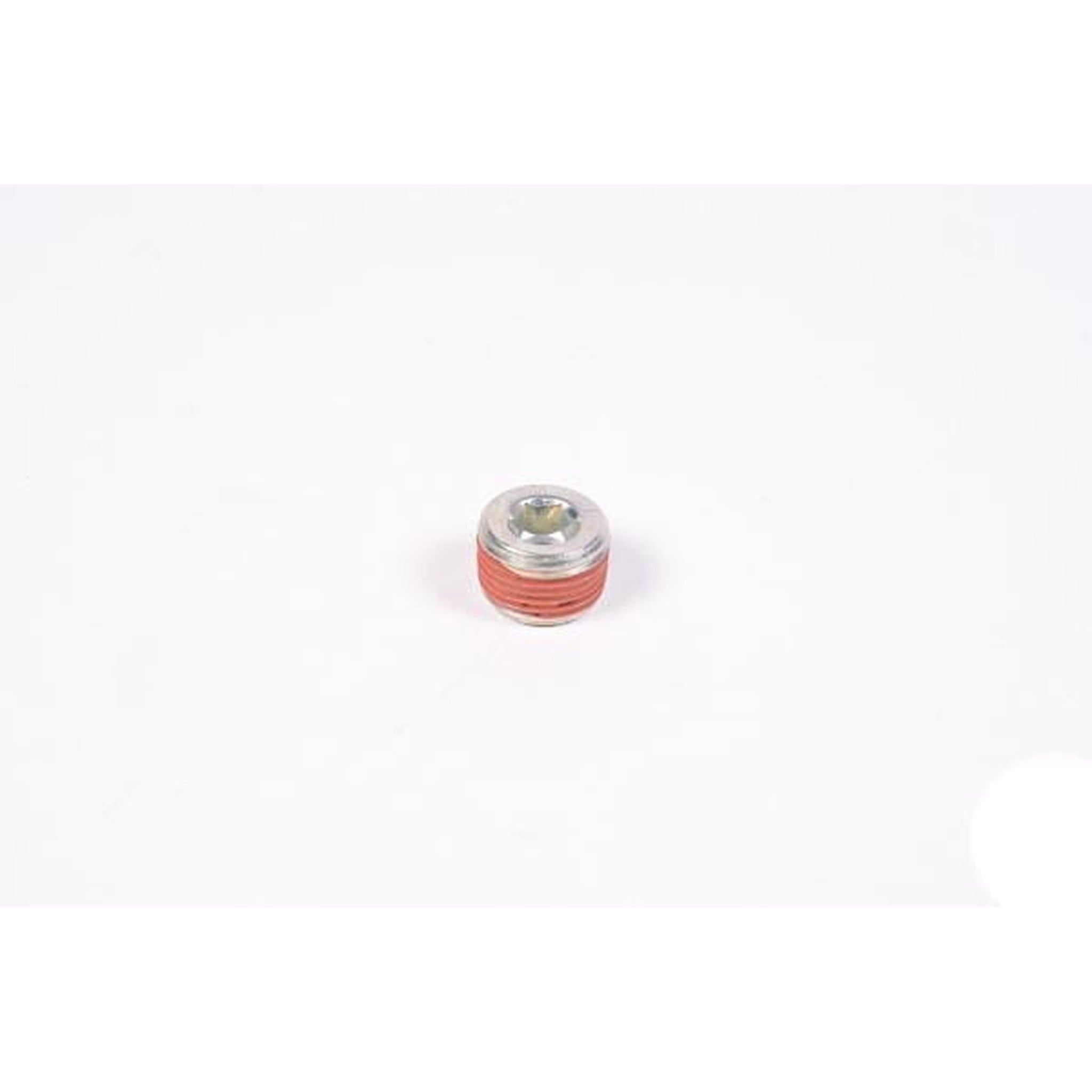 Radium Engineering 3/8 NPT Plug