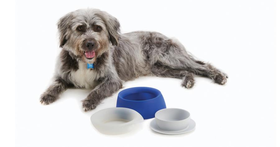 Subaru OEM Pet Travel Bowl Small | SOA854B001