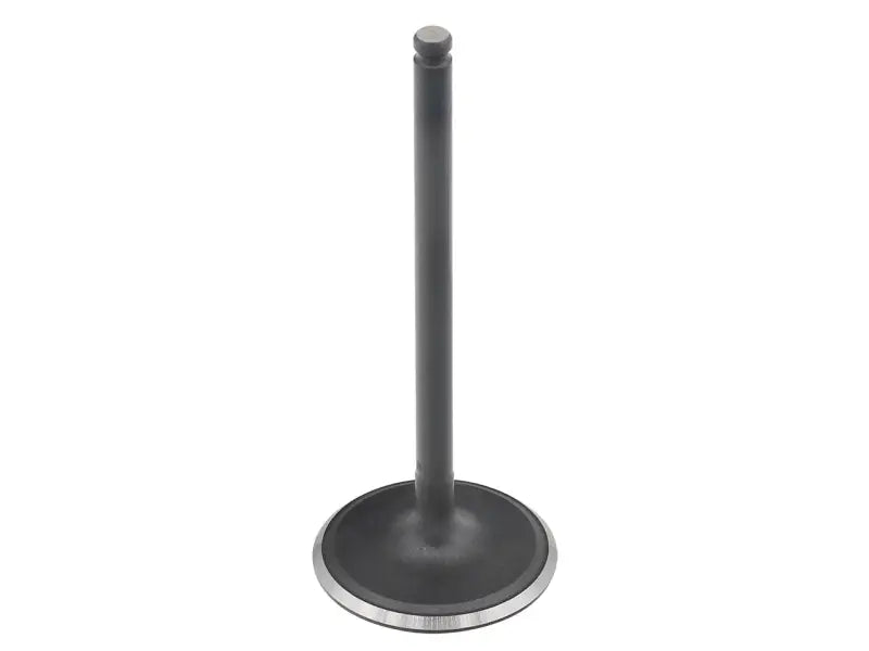 AU-09201I Intake Valve Can wps-183-09201