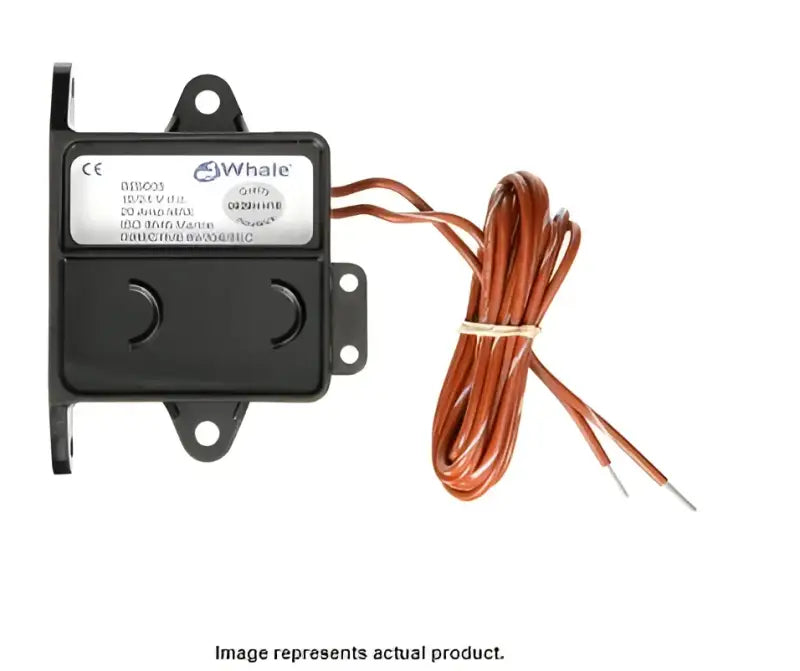 BE9003 Whale Whale Field Switch Retail whlbe9003