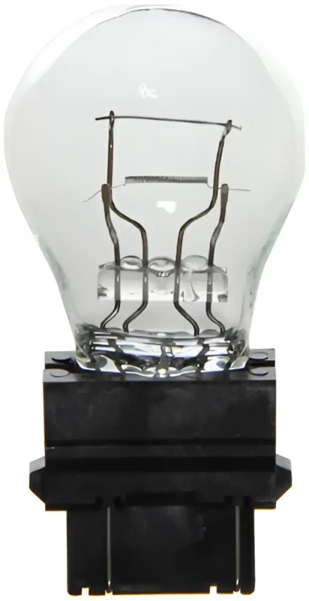 BP3157SA Wagner Miniature Bulb w31bp3157sa