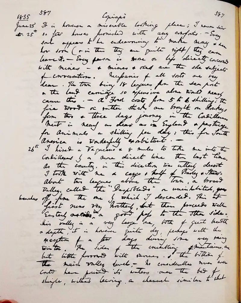 Directline 371 Flat White Hs Paint a1w371