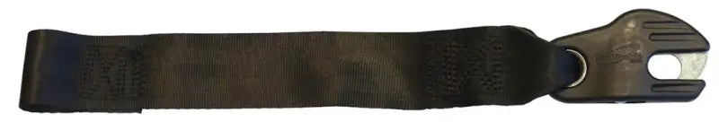 F17741 Immi Winch Strap With Latch-Lok 2' X 20 i9af17741