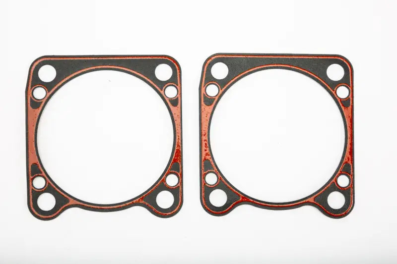 Gasket Cylinder Base 2/Pk wps-681-6101