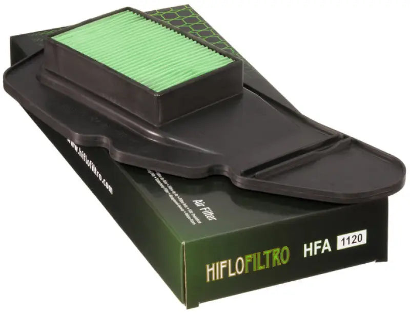 HFA1120 Air Filter wps-551-1120