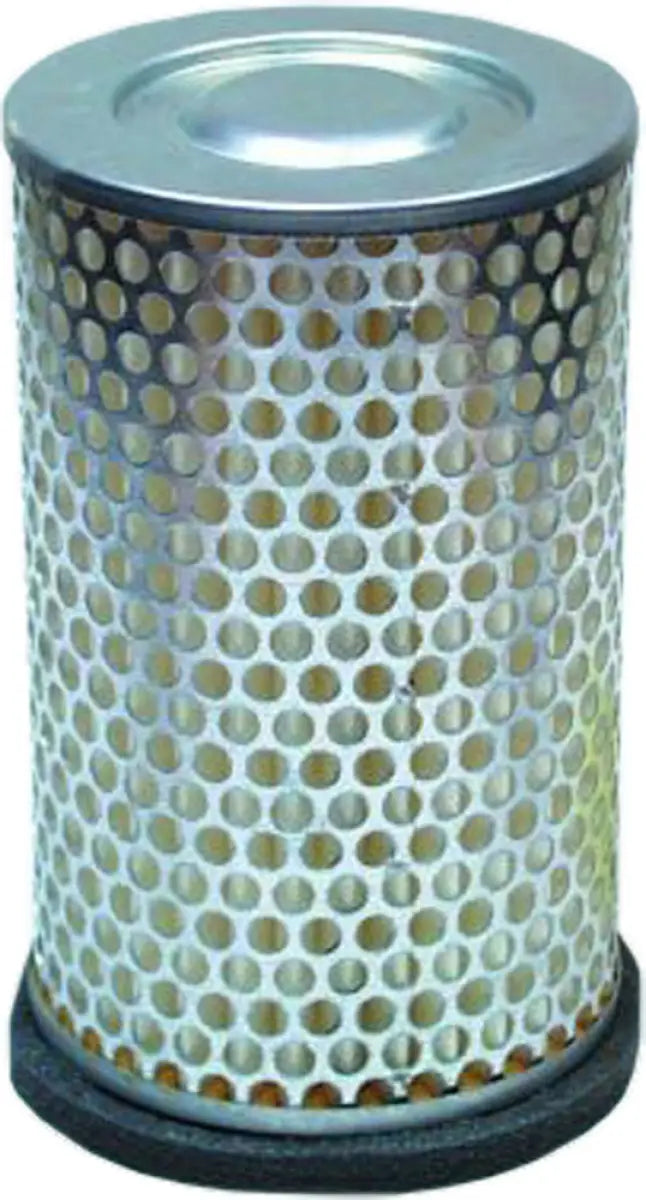 HFA1613 Air Filter wps-551-1613