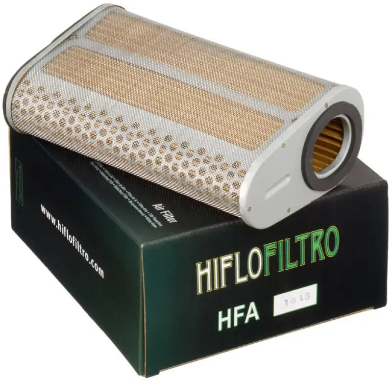 HFA1618 Air Filter wps-551-1618