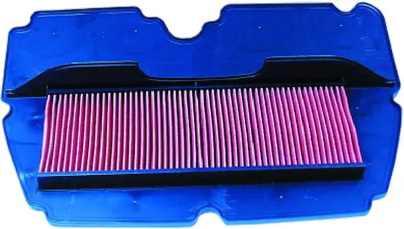 HFA1901 Air Filter wps-551-1901