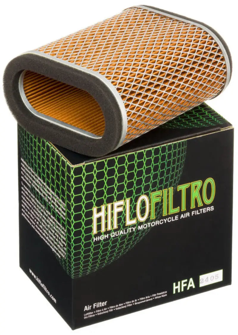 HFA2405 Air Filter wps-551-2405