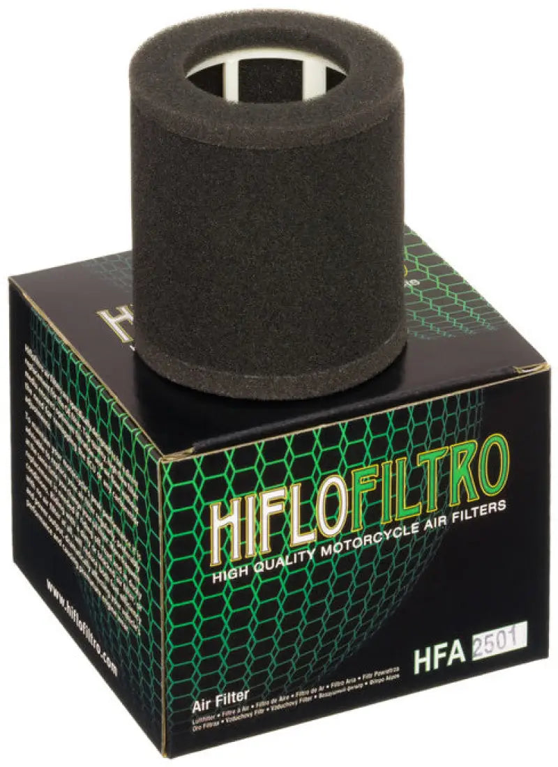 HFA2501 Air Filter wps-551-2501