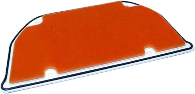 HFA2905 Air Filter wps-551-2905