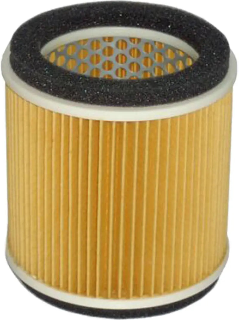 HFA2910 Air Filter wps-551-2910