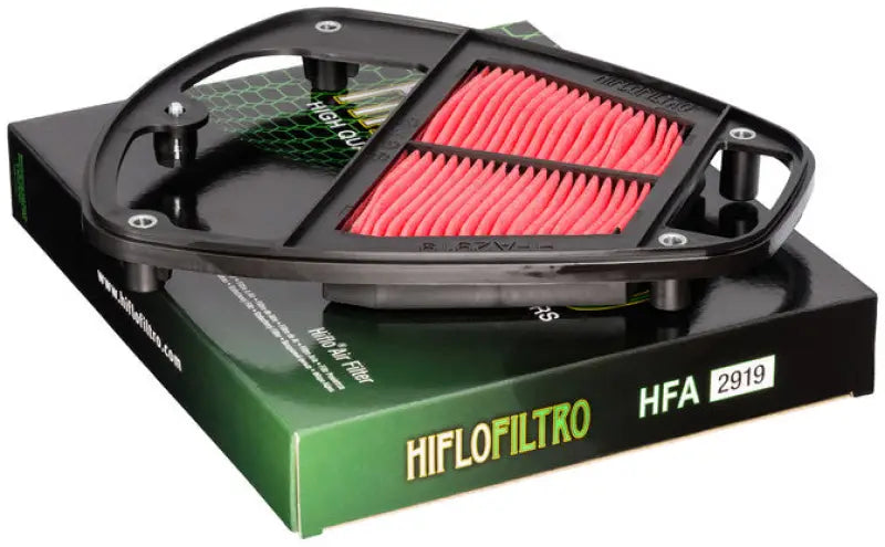 HFA2919 Air Filter wps-551-2919