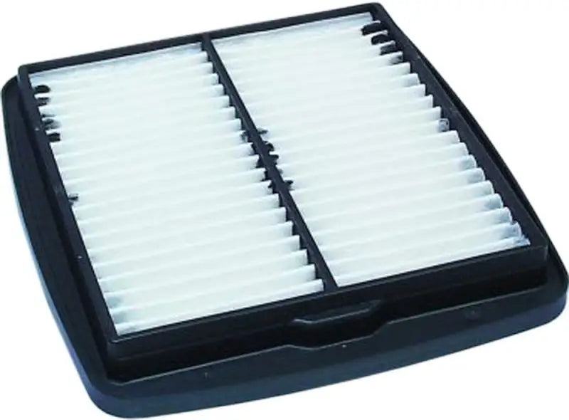 HFA3605 Air Filter wps-551-3605
